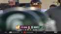 STALIONS HIDES FROM MCELWAIN_thumb.jpg