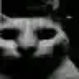 1713472298616560