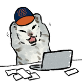 Auburn cat