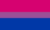 bi pride