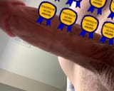Schaubcock