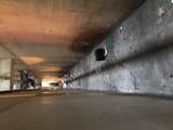 IMG_2564