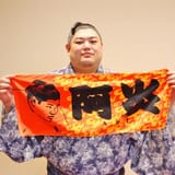 abi_towel_result