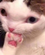 1752576110389928m