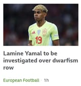 lamine