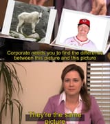 andrew-abbott-appreciation-post
