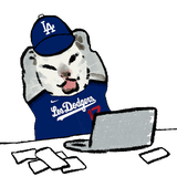 doyer meow