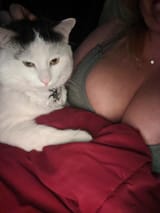 sox