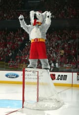 harvey-the-hound-calgary-flames-01