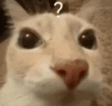 que-question