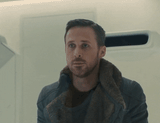 blade runner - goose
