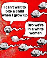 FlgE2EKXEAgge0Z