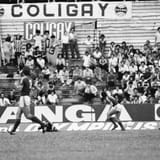 coligay