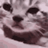 aw