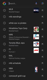 Screenshot_20250717_092957_Google