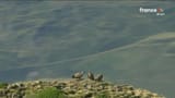 vlcsnap-2025-07-17-17h28m33s635