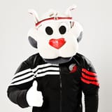blaze thumbs up