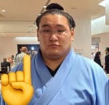 I happen to be a Yokozuna on this topic