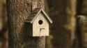 Bird house_thumb.jpg