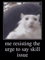 skill issue