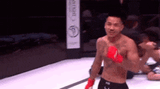 watchthehairchamp