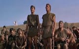 im_spartacus
