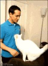 cat_hug