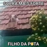 1729633569108779