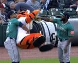 julio randy tiger
