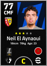 Neil El Aynaoui