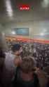 gracias cptm_thumb.jpg