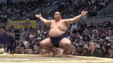 Mitakeumi-come-at-me-bro-e1531768062917