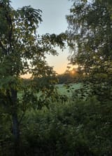 1721682892782529