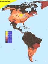 1728201387827831