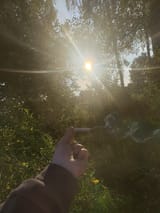 1752668169577316
