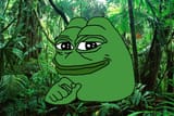 PepeJungle