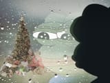 Frog Reflection G