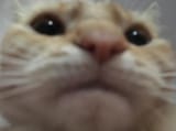 1625776157258