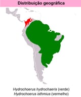 1737094100841777