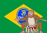 brazil sumo flag