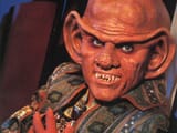 Quark