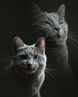IMG_1321_Original