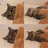 1722353685249484