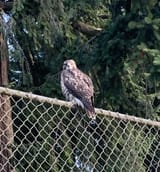 IMG_3200