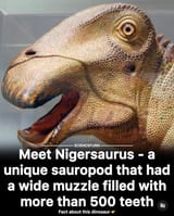 Nigersaurus
