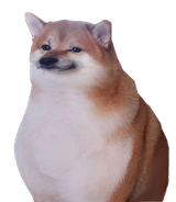 1748317220342608