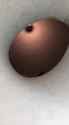 1653863766818_thumb.jpg