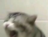 1736546913214987