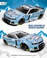 2025-1-busch-light-country
