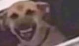 1646180972665